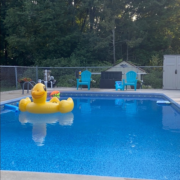 Meet your Posher, Lola - Picture 1 of 1